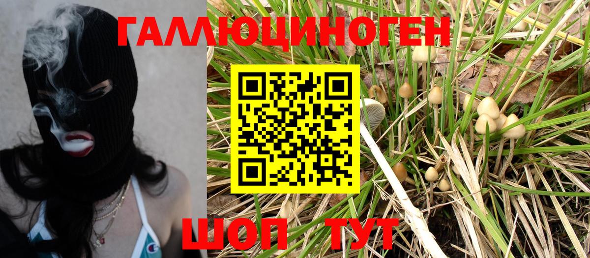 Луга  Галлюциногенные грибы Magic Shrooms  продажа наркотиков  Вход с VPN 