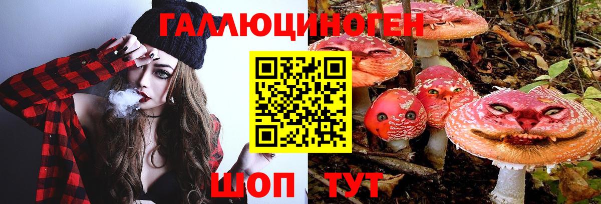 Псилоцибиновые грибы Magic Shrooms Луга